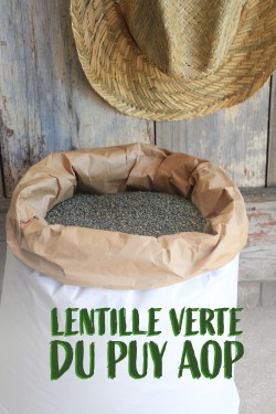 Lentilles vertes du Puy AOP...