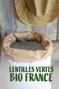 Lentilles vertes Bio France...